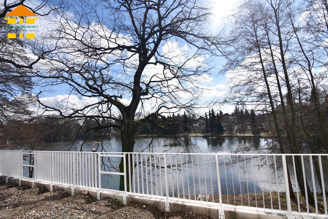 Blick auf Teich